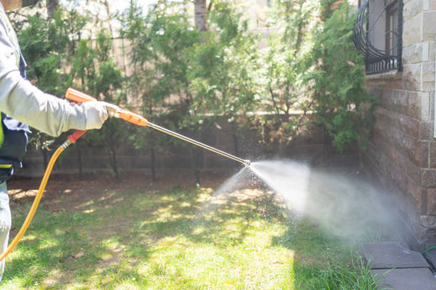 Best Wasp Removal Services  in Clifton Springs, NY