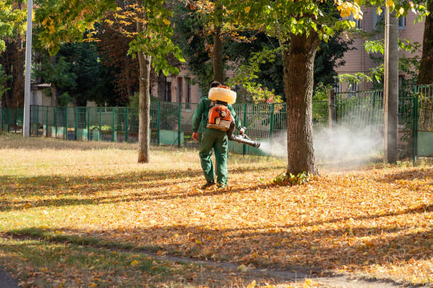 Best Pest Removal Services  in Clifton Springs, NY